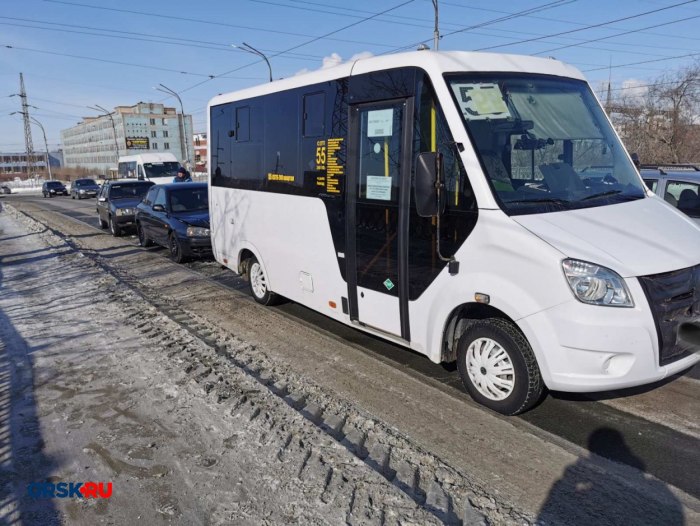 Хендай газелька