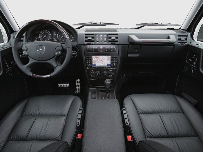 Mercedes Benz g class w463