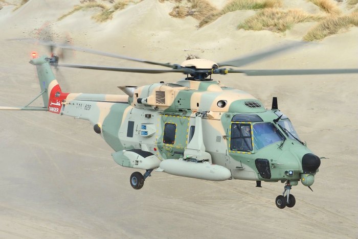 Еврокоптер nh90