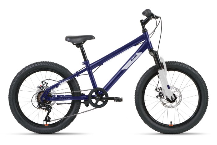 Велосипед детский 20" forward Rise 20 2.0 (7 СК., рама алюм 10.5") белый/красный