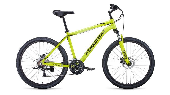 Stinger element EVO 24 (2022)
