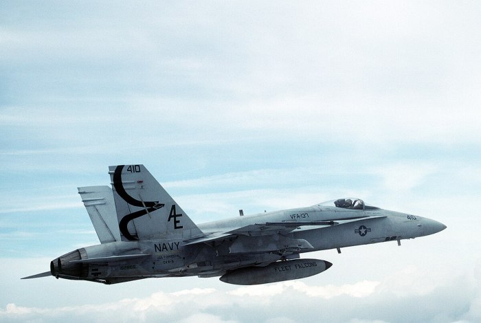 F/A-18 F super Hornet VFA-2