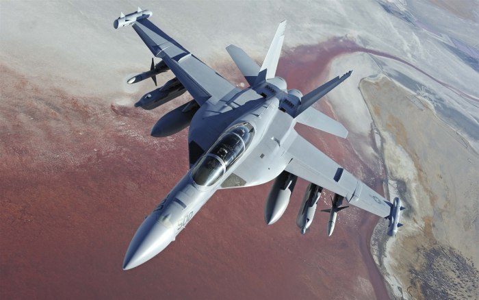 Самолет РЭБ EA-18g Growler