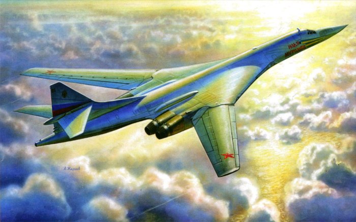 Ту-160 белый лебедь