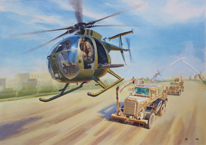 Ah-6/MH-6 little Birds