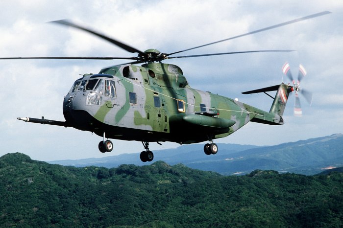 Sikorsky s-61/sh-3 Sea King