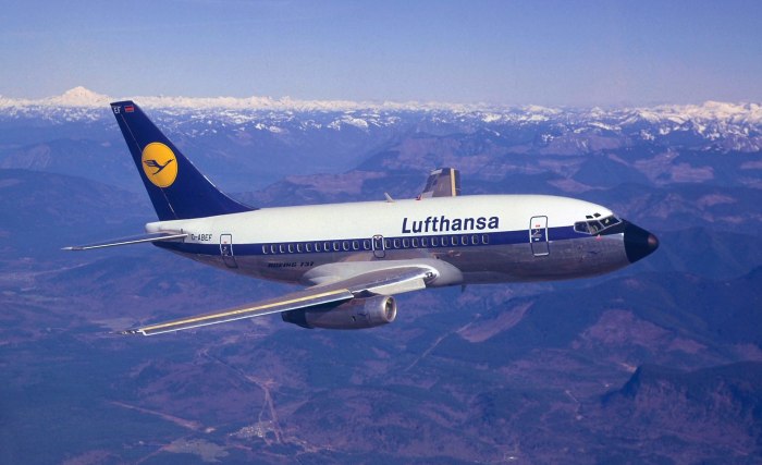 Боинг 737 и 777 на одном