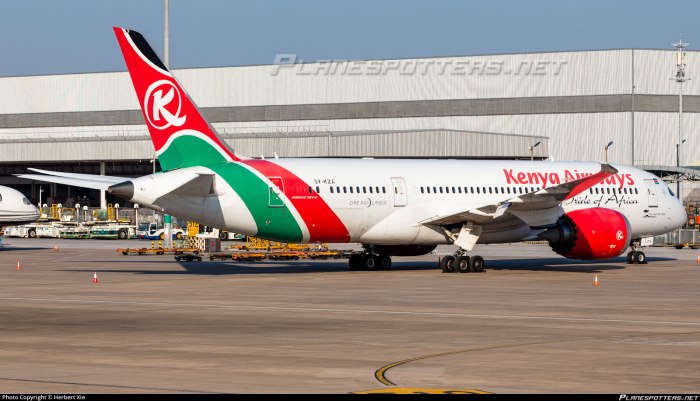 Самолеты Kenya Airways