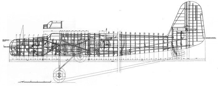 Самолет ант-37 Родина