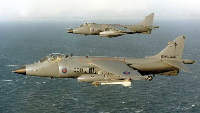 Sea Harrier FRS MK.1