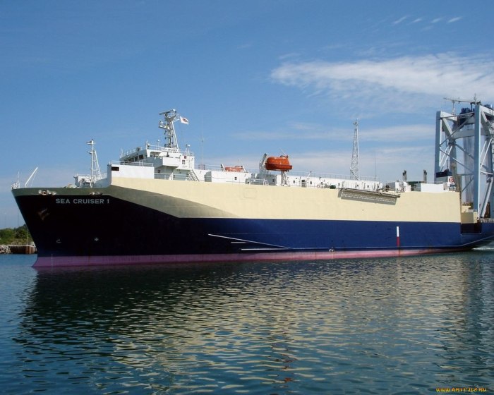 Морские грузопассажирские суда