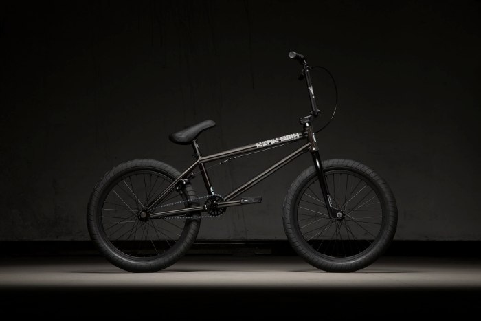 BMX kink 2020