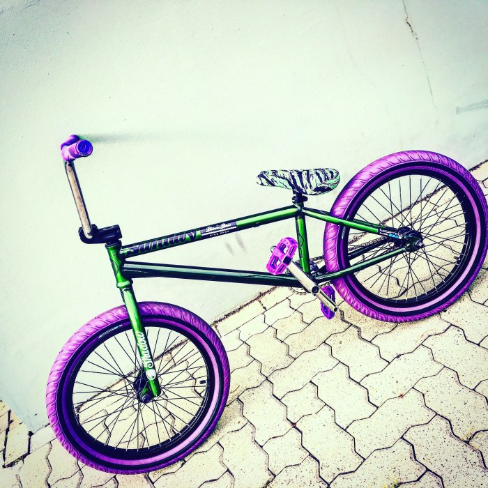 BMX 12000