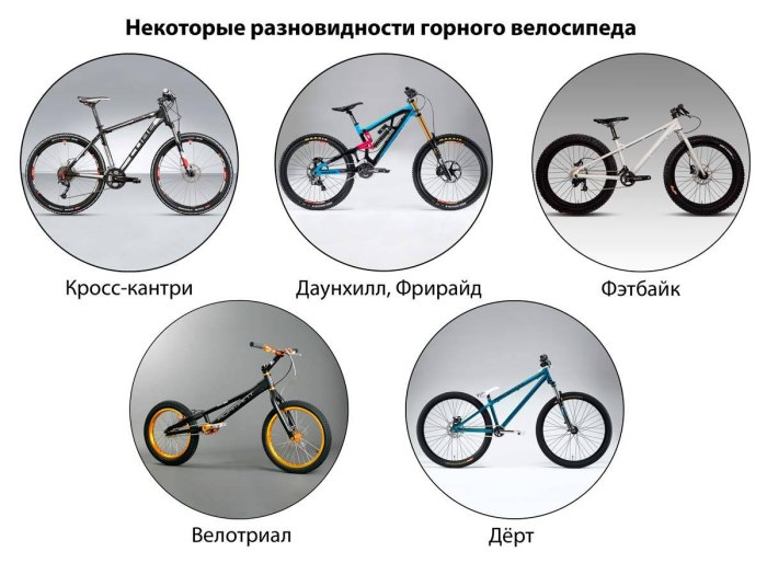 Название велосипедов горных