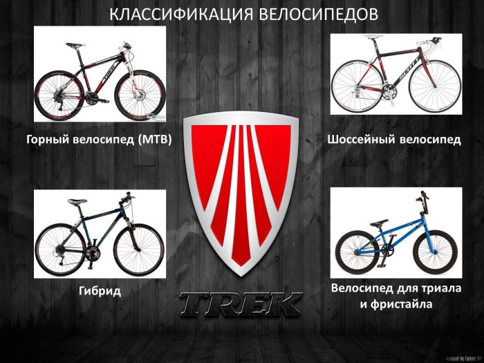 Разные типы велосипедов