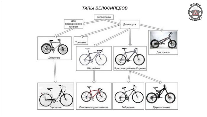 Типы велосипедов и их Назначение классификация