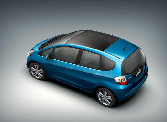 Honda Jazz панорамная крыша