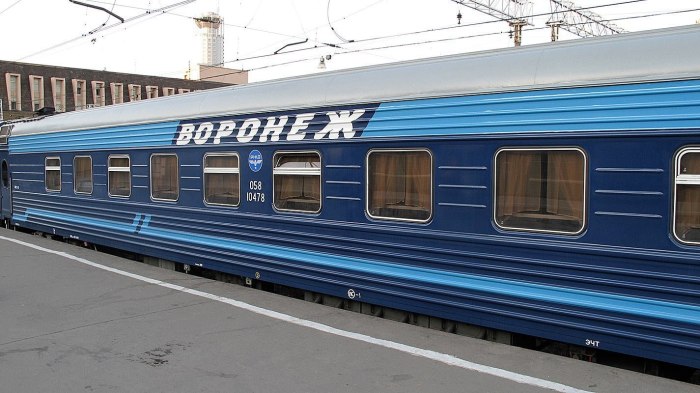 Поезд 025 Воронеж Москва