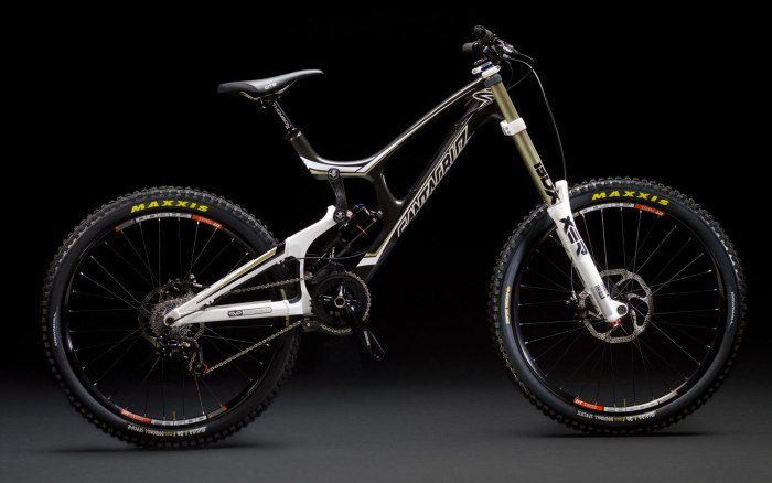 V10 Santa Cruz двухподвес