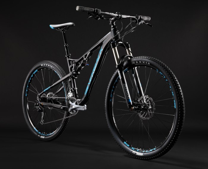 Silverback sola1