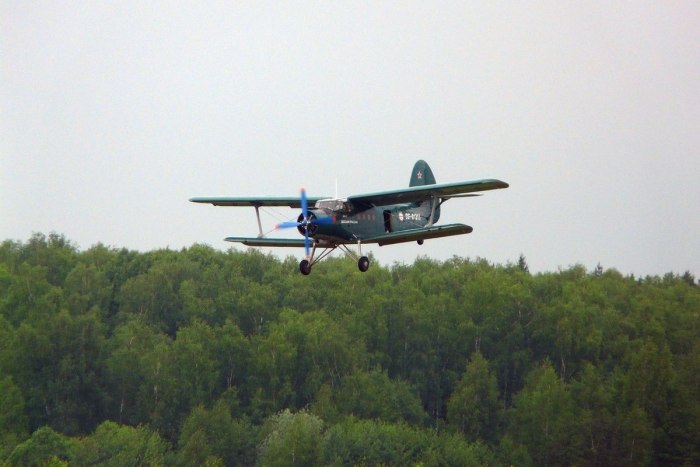 АН 2