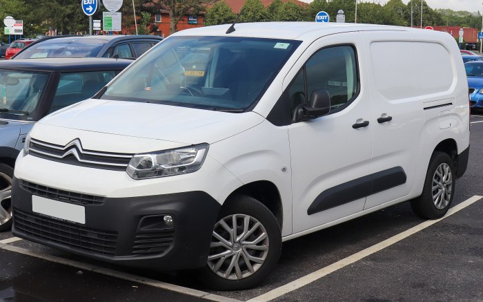 Citroen Berlingo van 2019