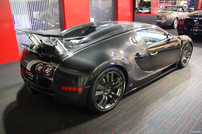 Bugatti Veyron Vincero Mansory