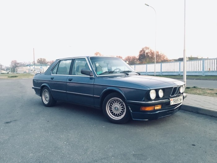 БМВ 525 акула