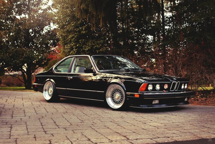 E BMW e24