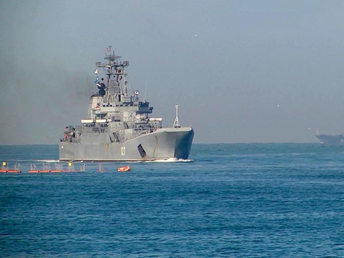 Оленегорский Горняк большой десантный корабль