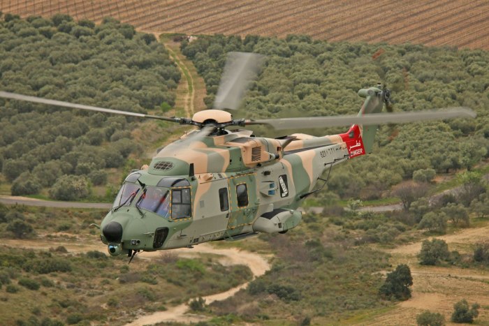Nh90 TTH (Tactical transport Helicopter)
