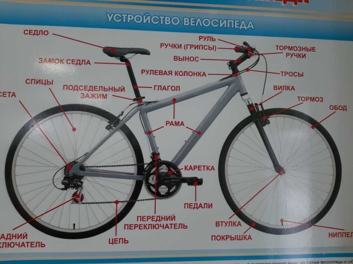 Строение горного велосипеда схема