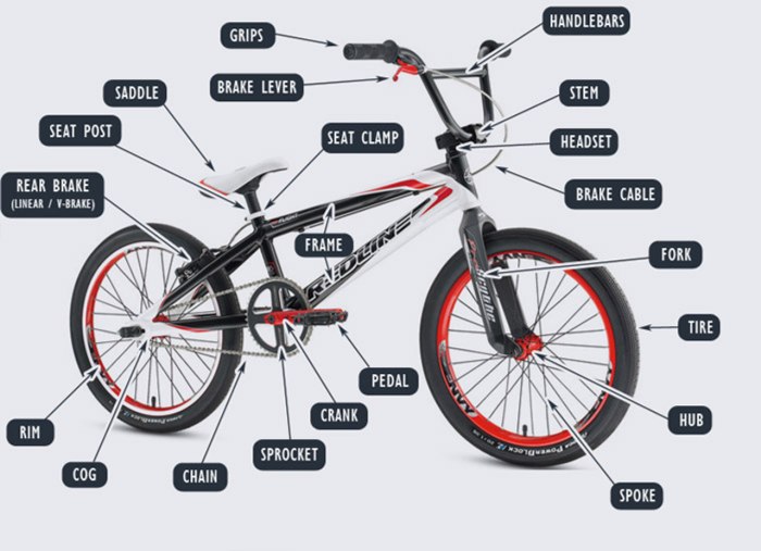 Строение велосипеда BMX