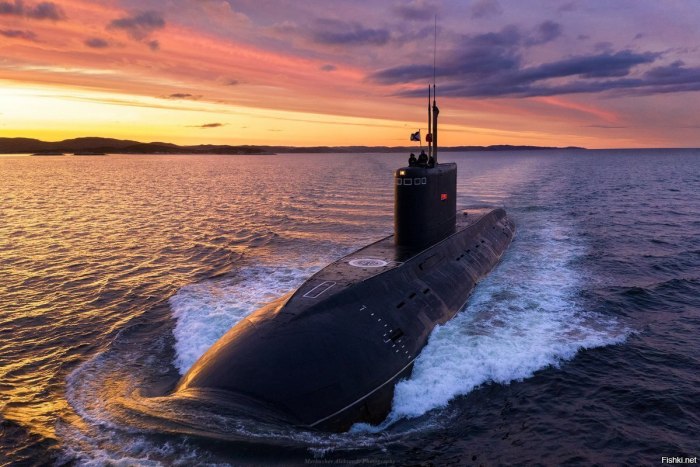 Палтус подводная лодка пр877