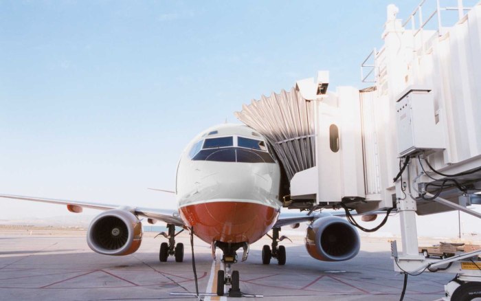 Board the plane