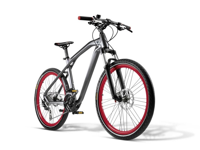 BMW Cruise Bike NBG III