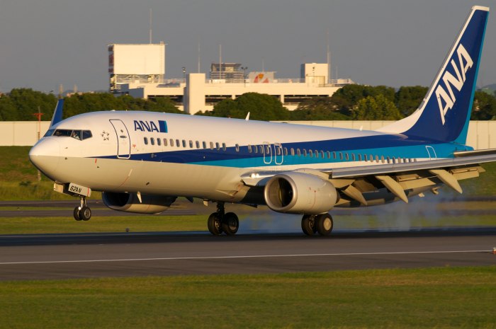 Boeing 737-800