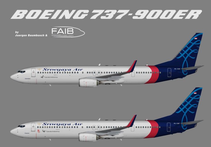 Boeing 737-900er