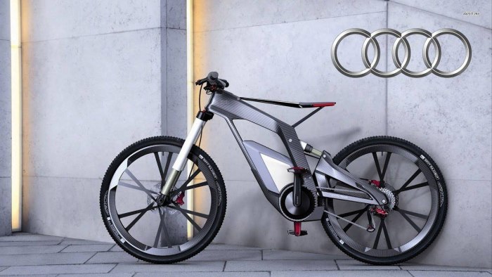 Audi e Bike