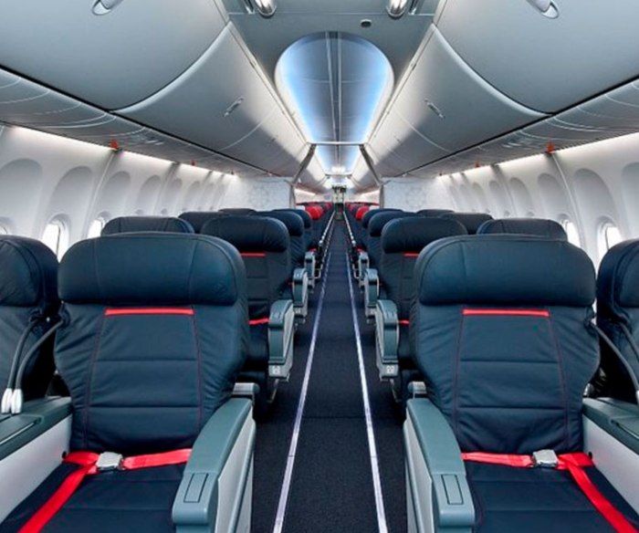 Sky Interior Boeing 737 800