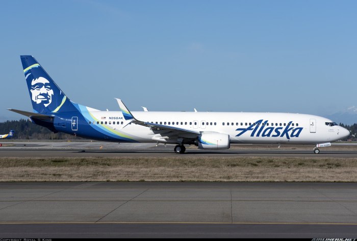 Боинг 737 900 фото