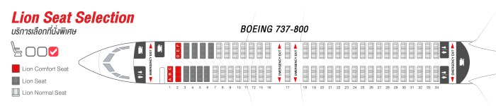 Boeing 737-800 схема посадочных мест