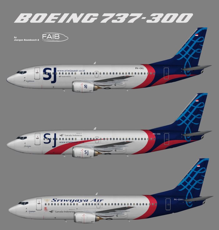 Самолёт Boeing 737-300