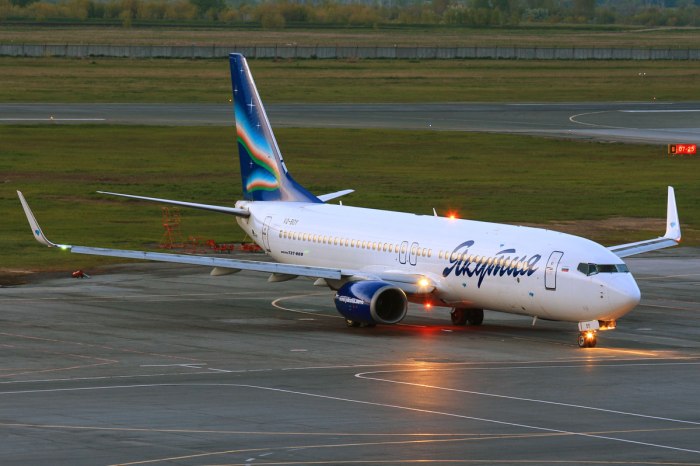 Боинг 737 пассажирский самолёт