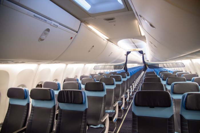 Салон самолета Боинг 737