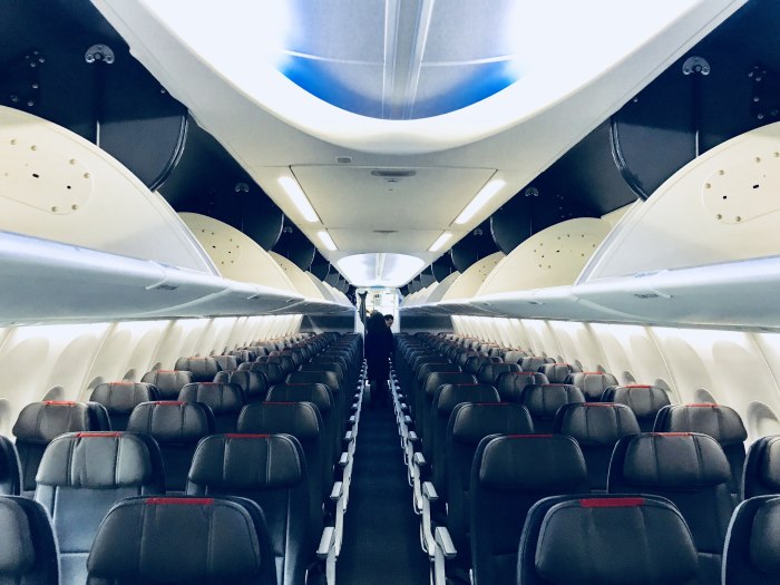 Boeing 737 Max салон
