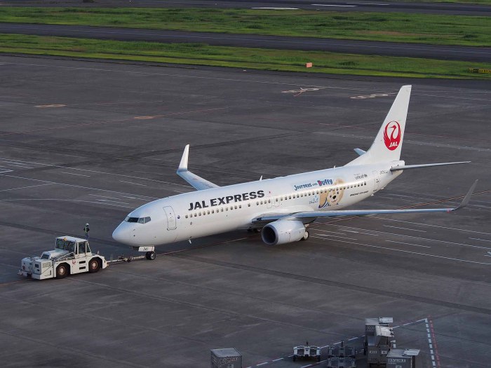 Боинг 737-800 нос