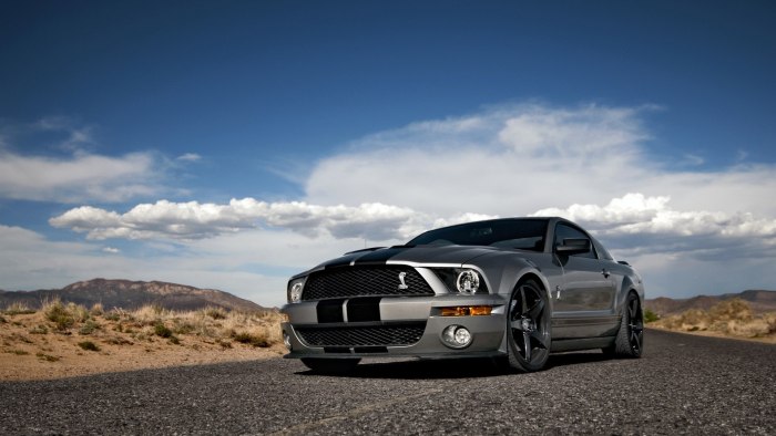Mustang Shelby gt500