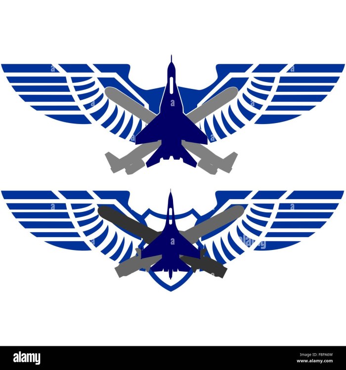 Крылья знак авиации