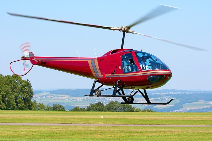Robinson r44 Авиалесоохрана